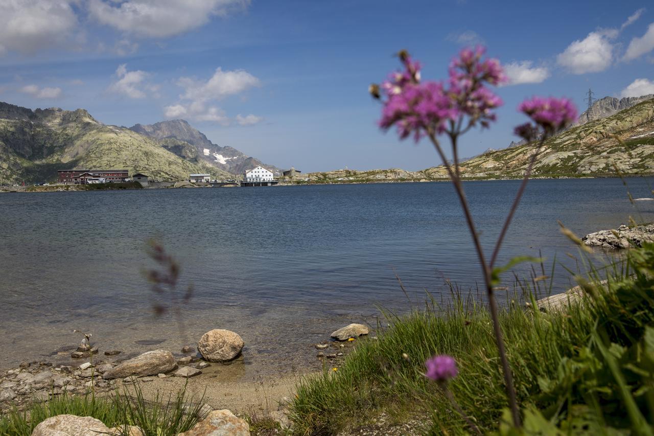 Hotel Grimsel Passhoehe Oberwald Εξωτερικό φωτογραφία